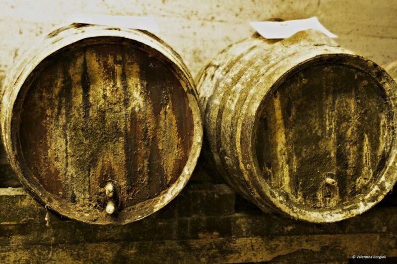 Tamburini Wine Tour and Tasting - Final thoughts