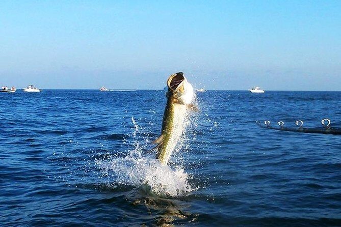 Tampa Bay Inshore Fishing Charters - FAQ