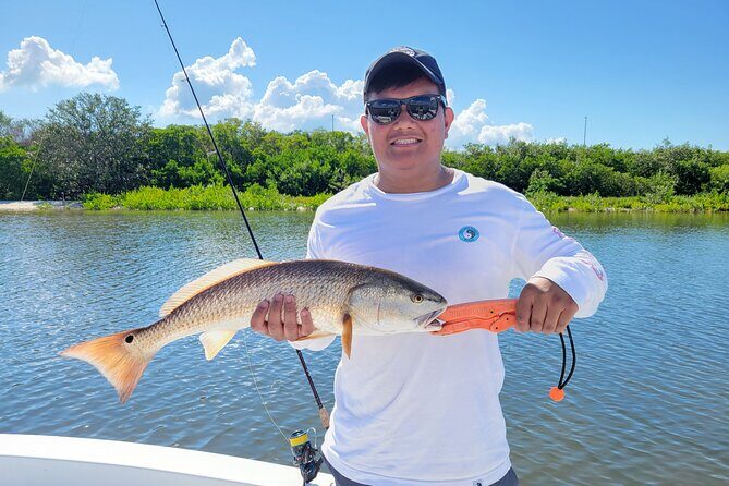 Tampa Bay Private Fishing Charter - An In-Depth Look at the Tampa Bay Private Fishing Charter
