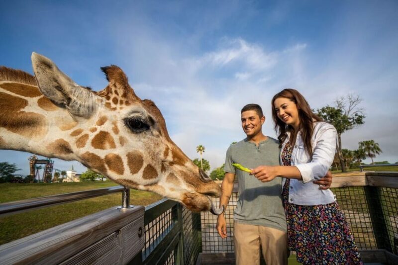 Tampa Bay: Serengeti Safari Tour - The Experience in Detail: What to Expect