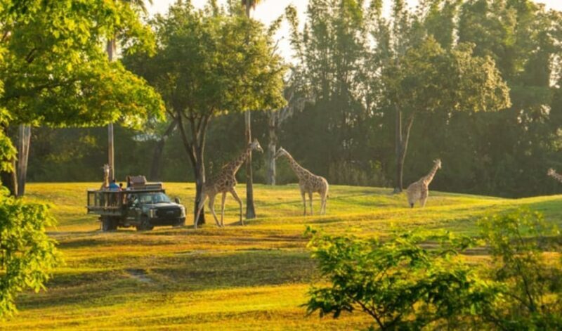 Tampa Bay: Serengeti Safari Tour - FAQ