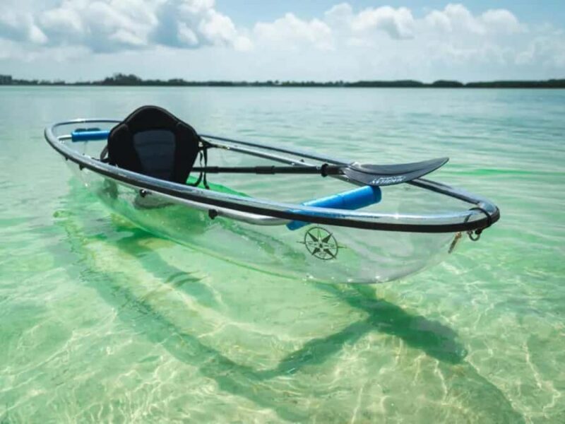 Tampa Bay: Shell Key Preserve Clear Kayak Tour - Exploring Shell Key Preserve: What to Expect
