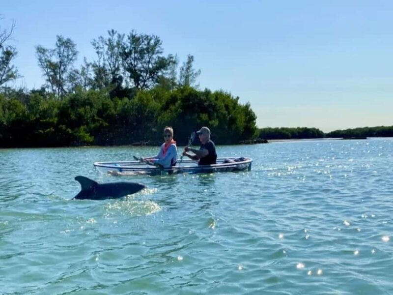 Tampa Bay: Shell Key Preserve Clear Kayak Tour - Practical Details and Tips