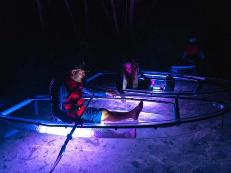 Tampa Bay: Shell Key Preserve Clear Kayak Tour - The Sum Up