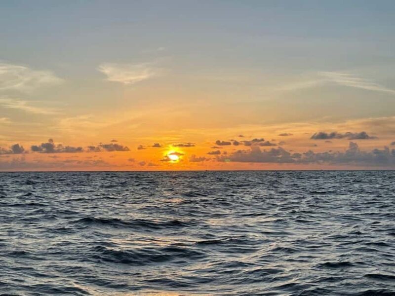 Tampa Bay: Sunset Cruise with Celebrity Homes and Wildlife - The Sum Up