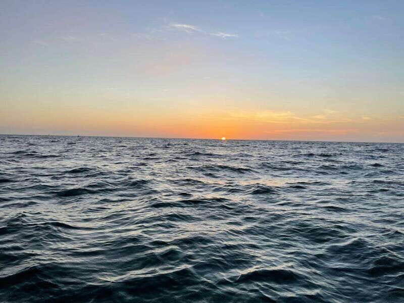 Tampa Bay: Sunset Cruise with Celebrity Homes and Wildlife - Key Points