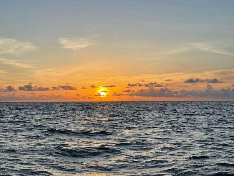 Tampa Bay: Sunset Cruise with Celebrity Homes and Wildlife - The Experience: What to Expect