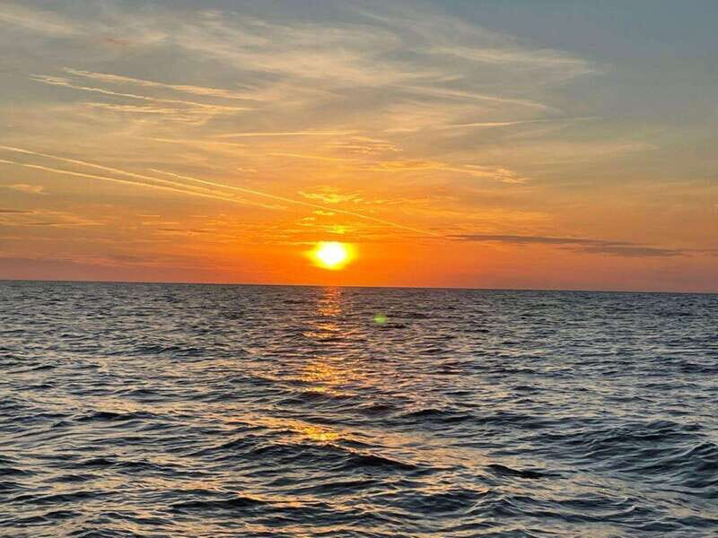 Tampa Bay: Sunset Cruise with Celebrity Homes and Wildlife - Practical Details & Tips