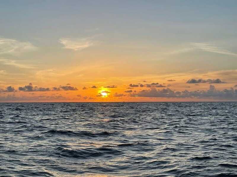 Tampa Bay: Sunset Cruise with Celebrity Homes and Wildlife - FAQ