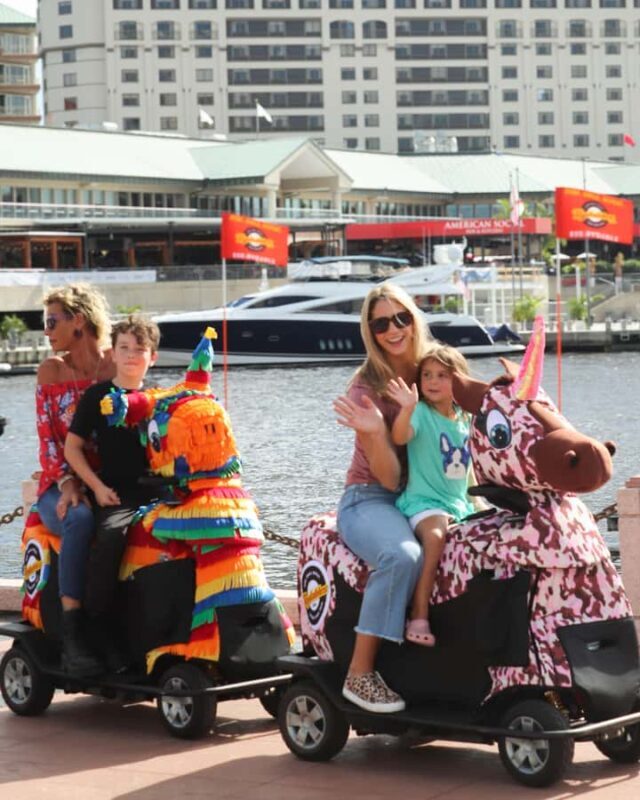 Tampa: Riverwalk and Downtown Tour on a Rydable - Key Points