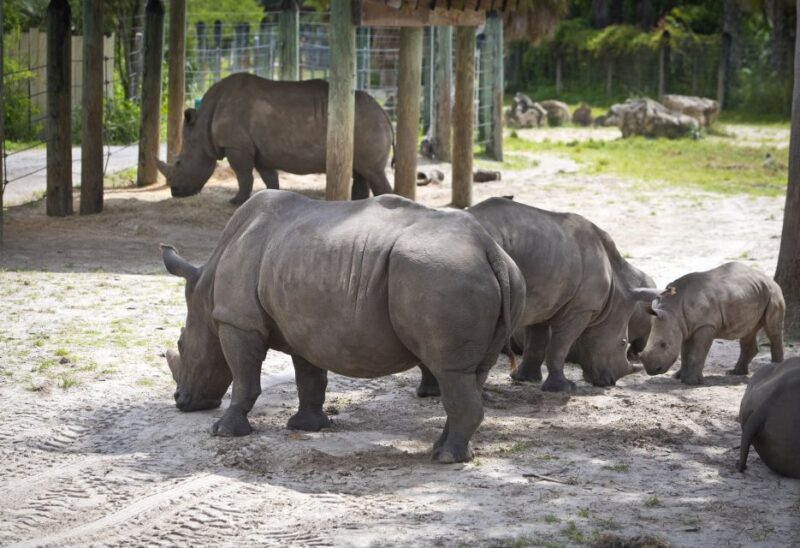 Tampa: ZooTampa at Lowry Park Entry Ticket - FAQ