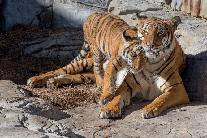 Tampa's ZooQuarium Admission - The Practical Details