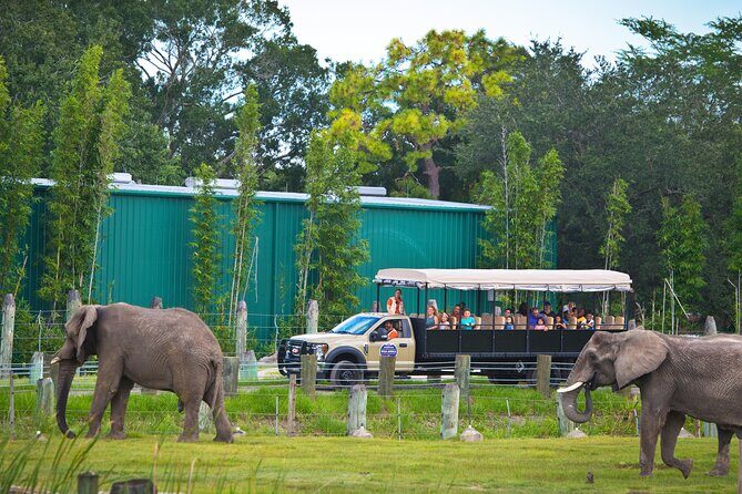 Tampa's ZooQuarium Admission - What Could Be Improved?
