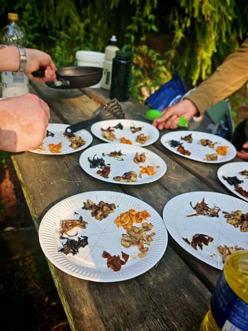 Tampere: Mushroom Picking and Tasting Tour with Meal - The Overall Experience: Value and Authenticity