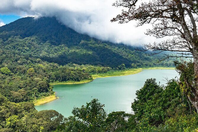 Tanah Lot and North Bali Tour: Scenic Journey - UNESCO-Recognized Rice Terraces: Jatiluwih Green Land