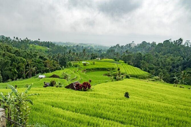 Tanah Lot and North Bali Tour: Scenic Journey - The Spiritual Heart: Tanah Lot Temple