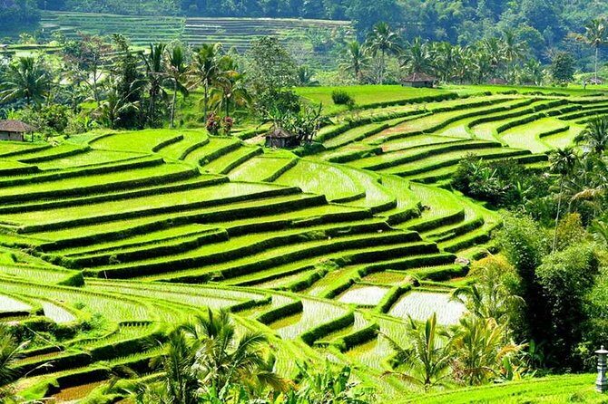 Tanah Lot, Jatiluwih and Ulundanu Bratan Highlights Private Tours - FAQ