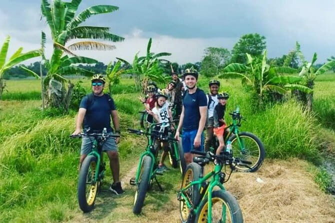 Tanah Lot Temple Canggu Rice Field eBike Private Tour - Key Points