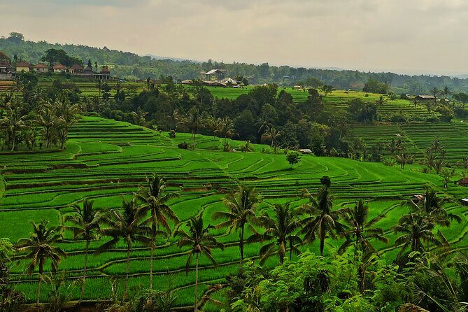 Tanah Lot Tour: Discover Balis Iconic Temple and Stunning Views - FAQ