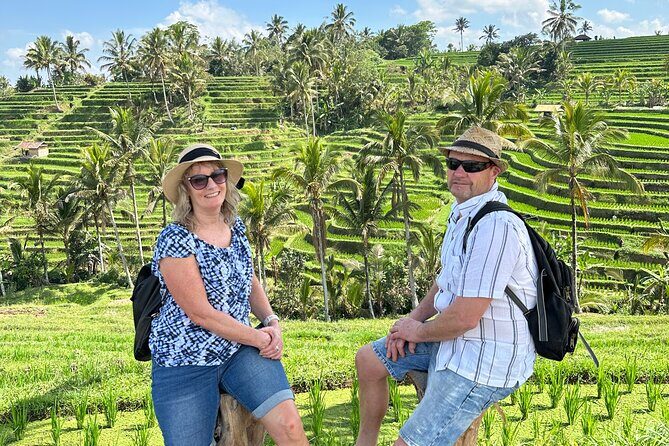 Tanah Lot Tour & North Bali Tour : All-Inclusive Best Experience - An In-Depth Look at the Tour Experience