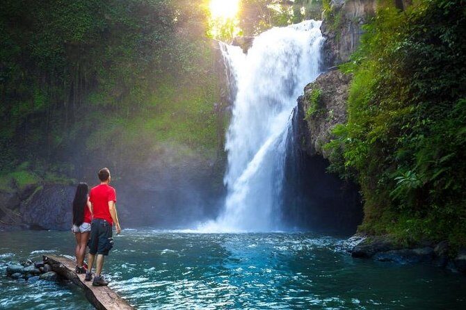 Tanah Lot Tour with Ubud Monkey Forest, Rice Terraces, and Waterfalls - Introduction: What This Tour Offers