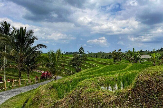 Tanah Lot - Ulun Danu Beratan Temple - Scenic Countryside Tour - The Value Proposition