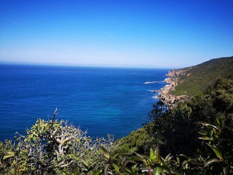 Tangier: 2-Day Trip From Tarifa - Frequently Asked Questions (FAQs)