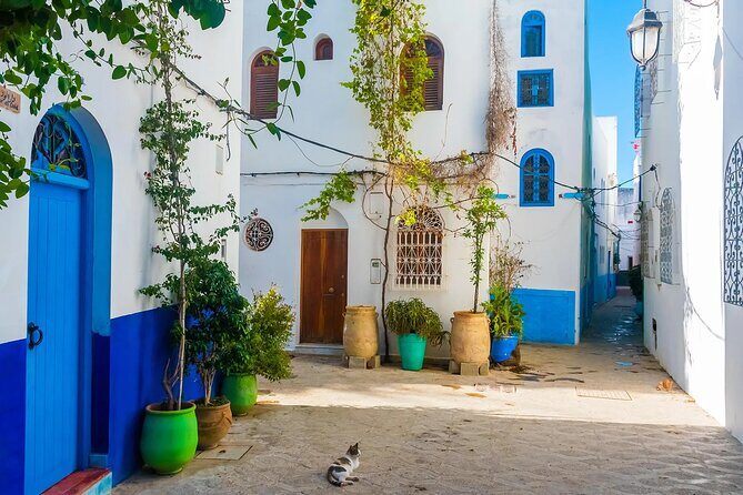 Tangier & Asilah Private Tour with from Malaga or Marbella - FAQ
