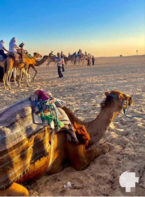 Tangier: Day Trip from Tarifa To Tanger { camel ride - FAQs