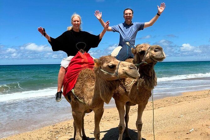 Tangier Luxury Private Day Tour From Tarifa including Camel ride - FAQ