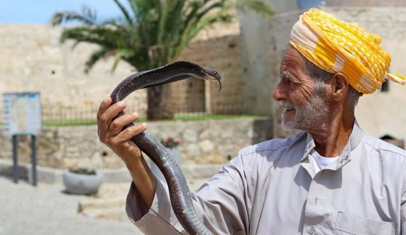 Tangier Private Half-Day Tour + Camel Ride + Add-on: Lunch - Key Points