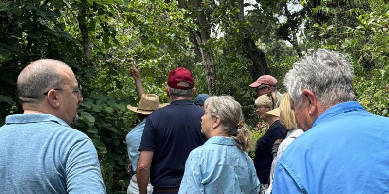 Tangier private luxury tour from Tarifa All inclusive - Final Thoughts