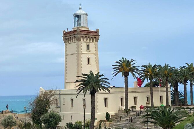 Tangier Private Tour from Estepona including Camel Ride & Lunch - Final Stops and Return