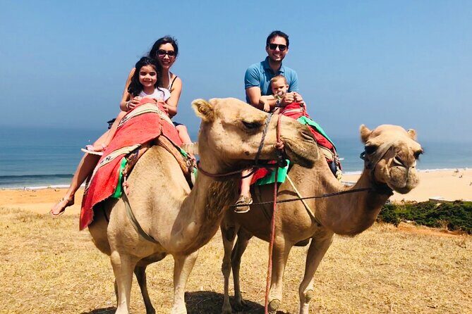 Tangier Private Tour from Malaga or Marbella w/ guide and driver - The Itinerary: What You Can Expect