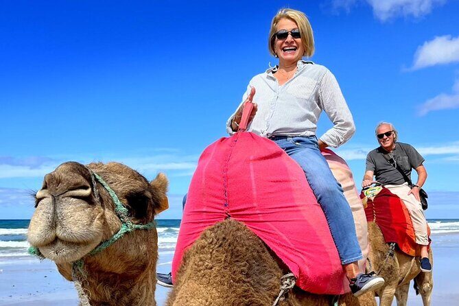 Tangier Private Tour from Seville Including Camel Ride & Lunch - Is This Tour for You?