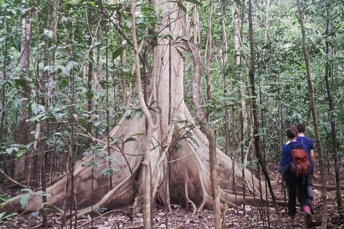Tangkoko Overnight (2D1N) - Practical Details & What You Need to Know