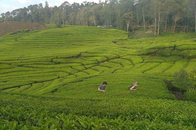 Tangkuban Parahu Volcano North Bandung Private Tour - FAQ