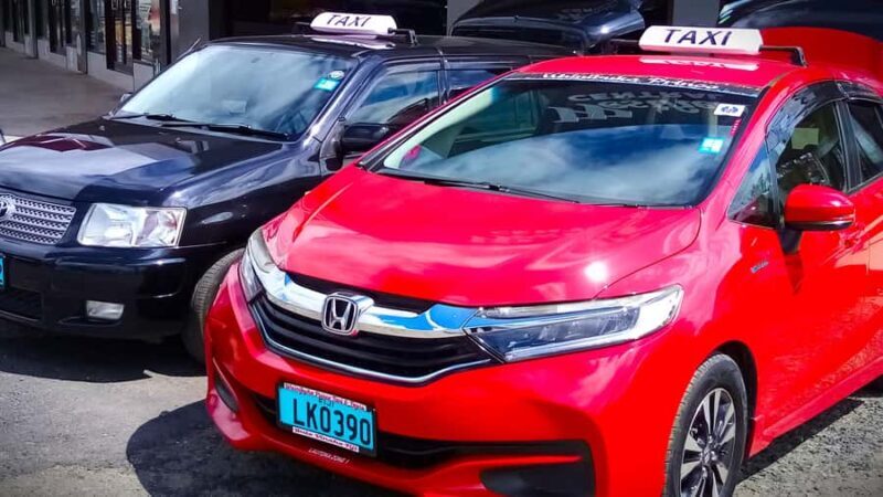 Tanoa Waterfront Hotel to Natadola Beach Round Trip - What Travelers Say