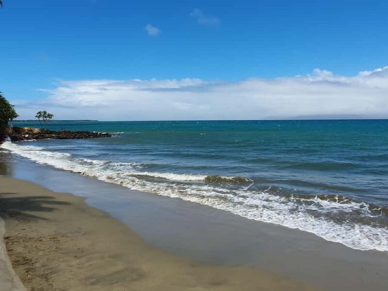 Tanoa Waterfront Hotel to Natadola Beach Round Trip - Who Will Love This Experience?