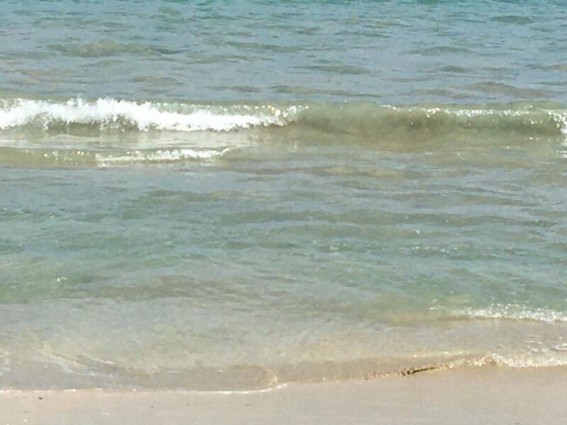 Tanoa Waterfront Hotel to Natadola Beach Round Trip - An In-Depth Look at the Tour Experience