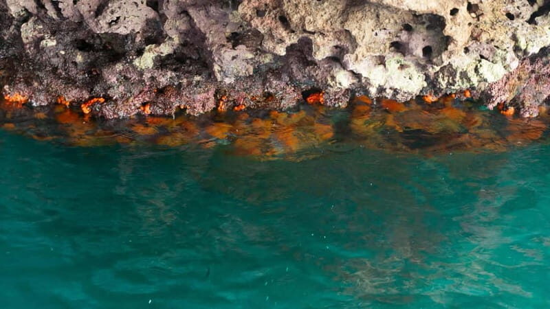 Taormina: Isola Bella Tour with Swimming, Fruit and Prosecco - Frequently Asked Questions