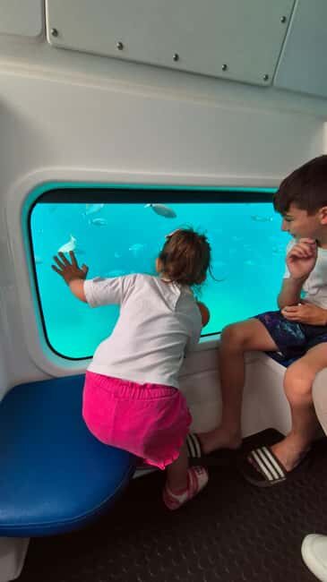 Taormina: Sea Tour in the Nemosub with Dolphin Sightings - FAQ