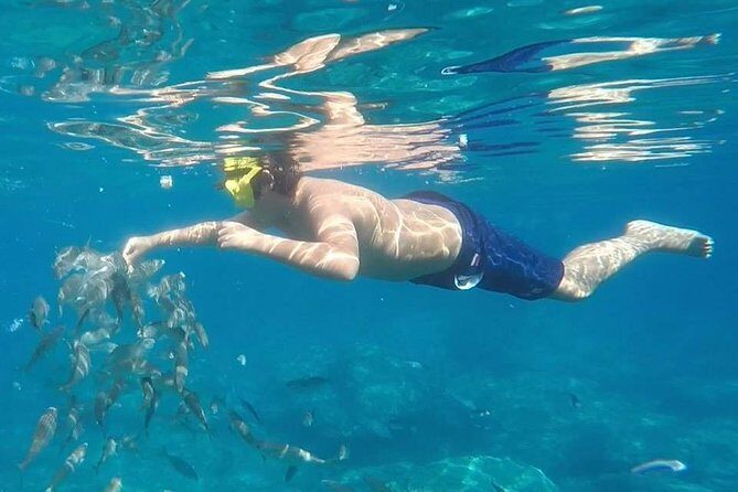 Taormina snorkeling experience - What to Expect During the Snorkeling Experience