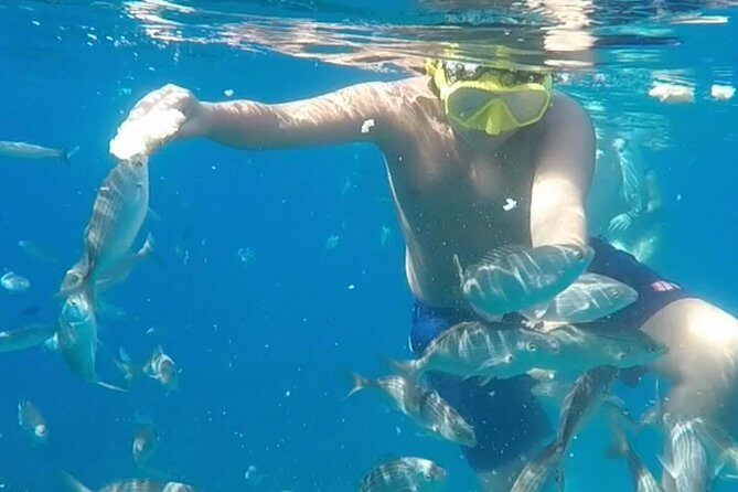 Taormina snorkeling experience - Who Should Book This Tour?