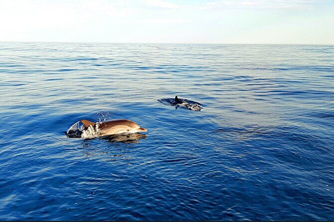 Taormina Sunset Aperitif on-Board - What to Expect on Board