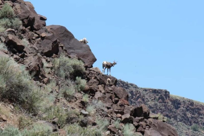 Taos Santa Fe ~ Kokopelli Taos Box Full Day Rafting - The Practical Details: Booking, Cost, and What to Bring