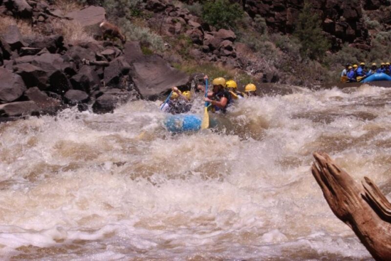 Taos/Santa Fe: Rio Grande Class IV "Taos Box" Rafting - Practical Considerations