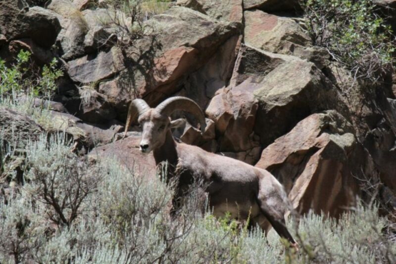 Taos/Santa Fe: Rio Grande Half-Day Float Trip - The Value of This Half-Day Float Trip