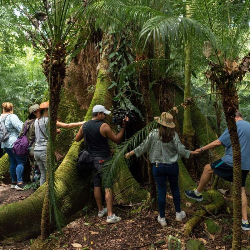 Tapachula: Argovia Coffee, Flowers, and Legacy Tour - Key Points