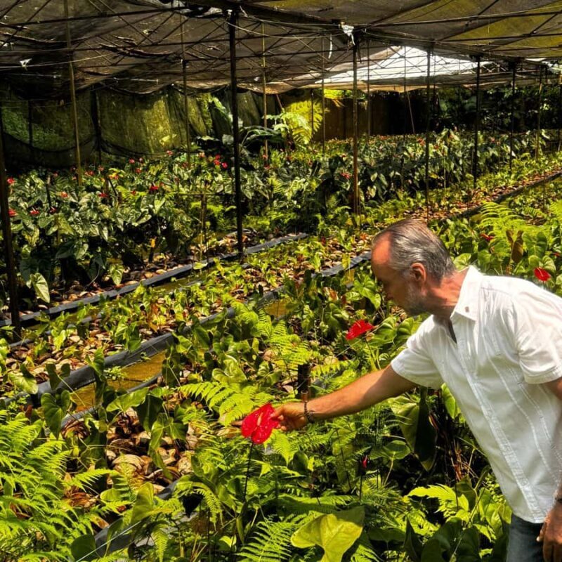 Tapachula: Argovia Coffee, Flowers, and Legacy Tour - Return Journey and Final Thoughts